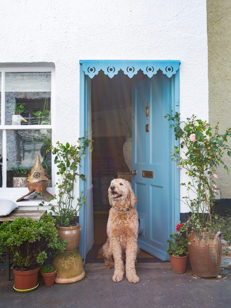 A Charming 400-Year-Old Cottage in England 19 blue front door A Charming 400-Year-Old Cottage in England