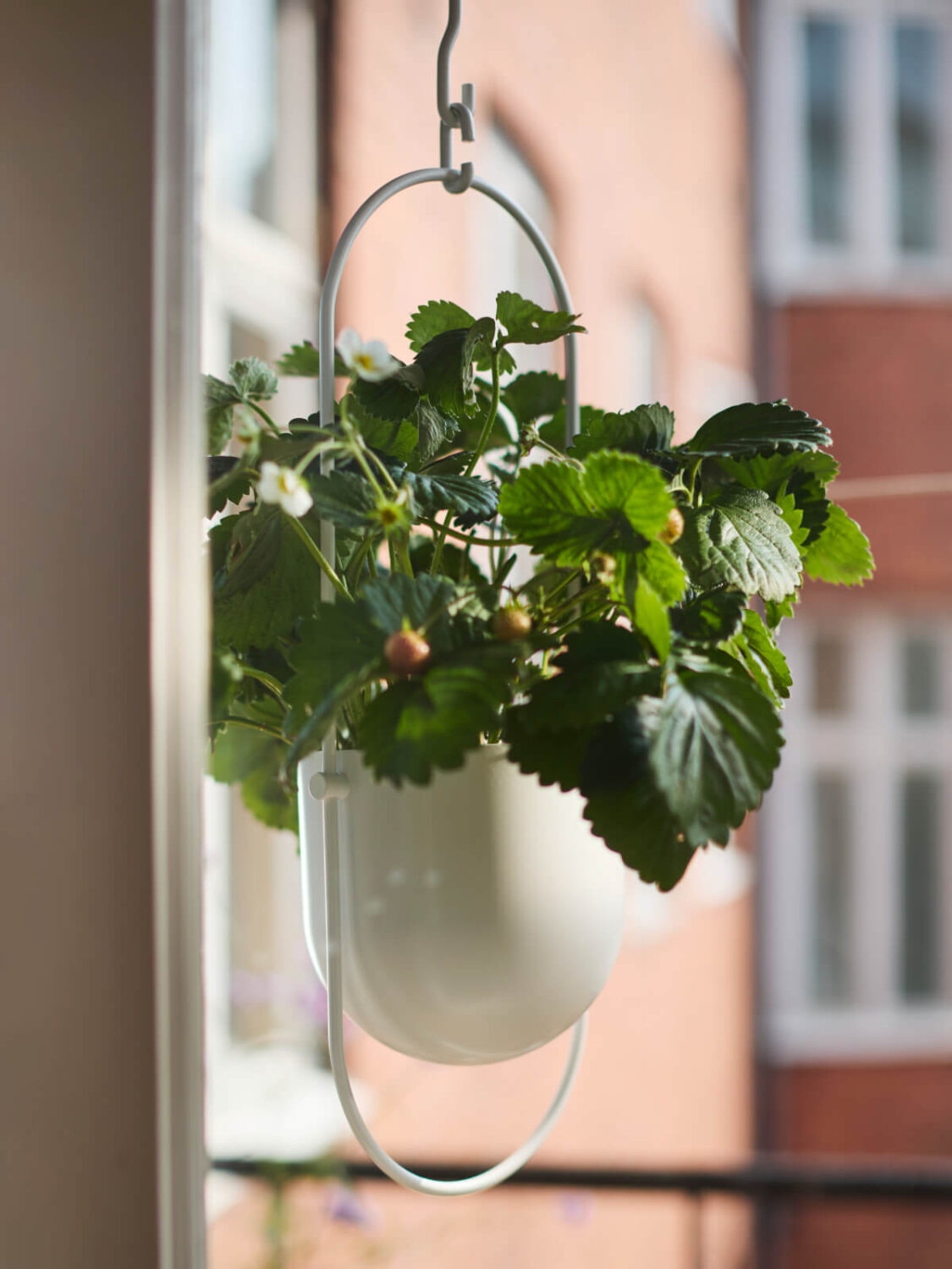 IKEA CHILISTRAN ampel PH202061 New IKEA Balcony and Garden Inspiration for Summer 2025