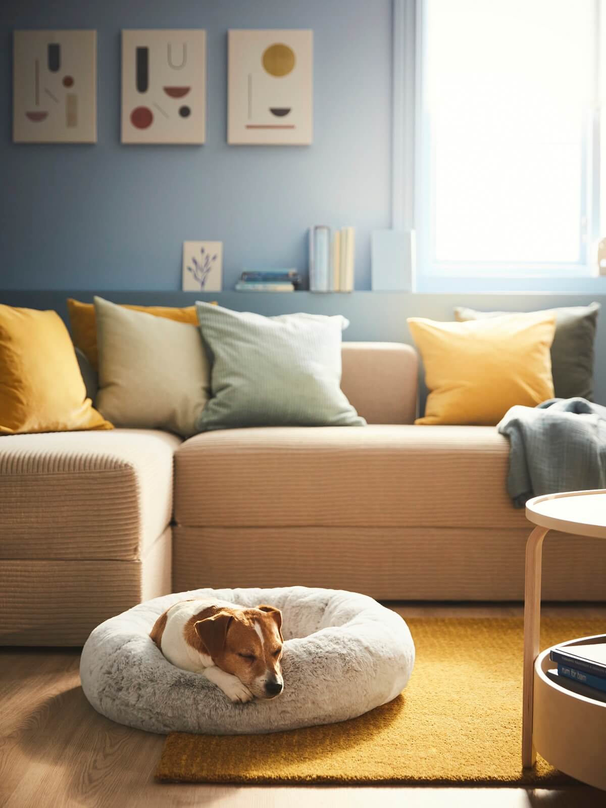 IKEA_UTSADD_animal bed