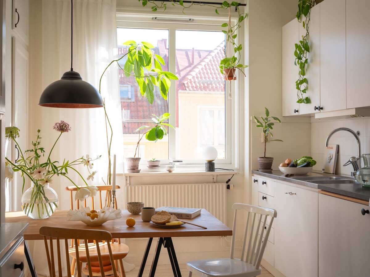 kitchen with plants and dining table