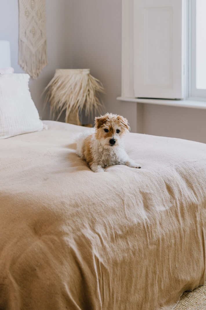 A Charming One-Bedroom Apartment with a Courtyard Terrace 10 light bedroom