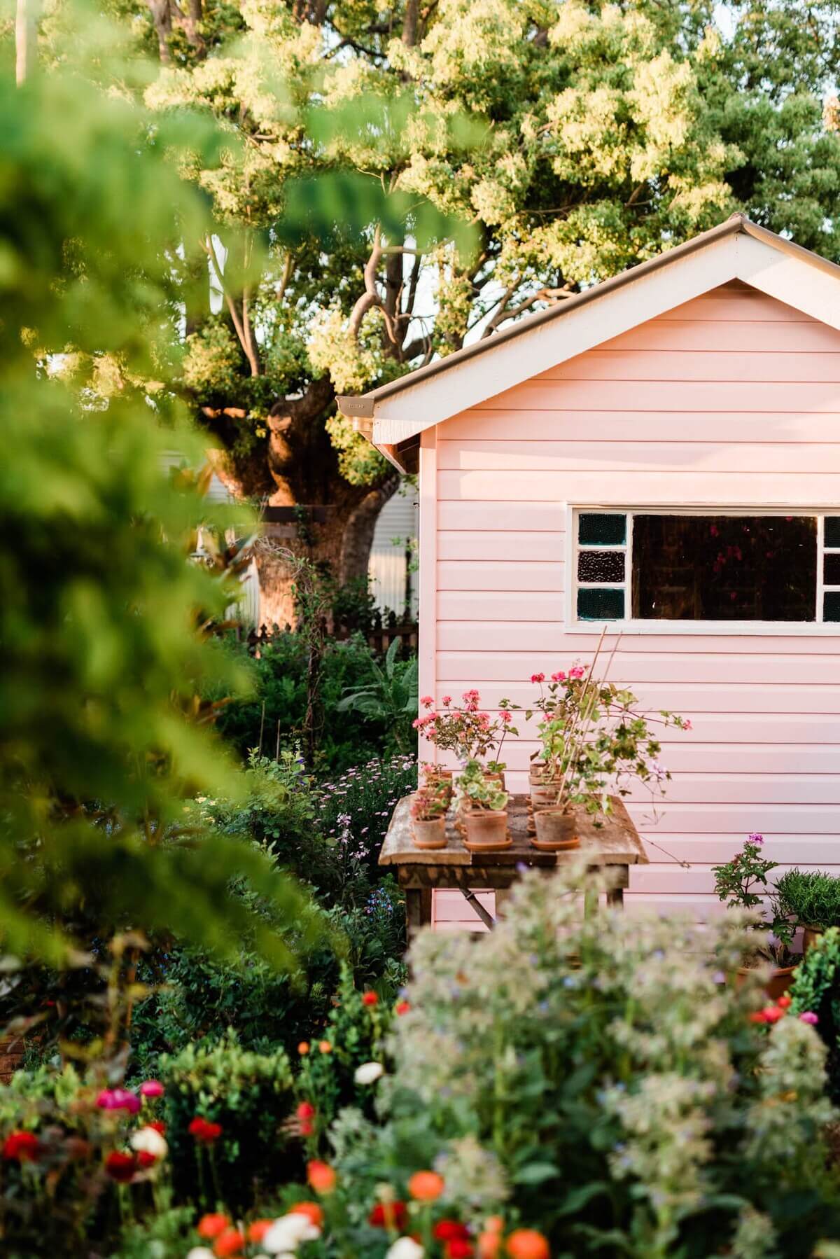 pink-cottage-airbnb-rose-garden-australia-nordroom