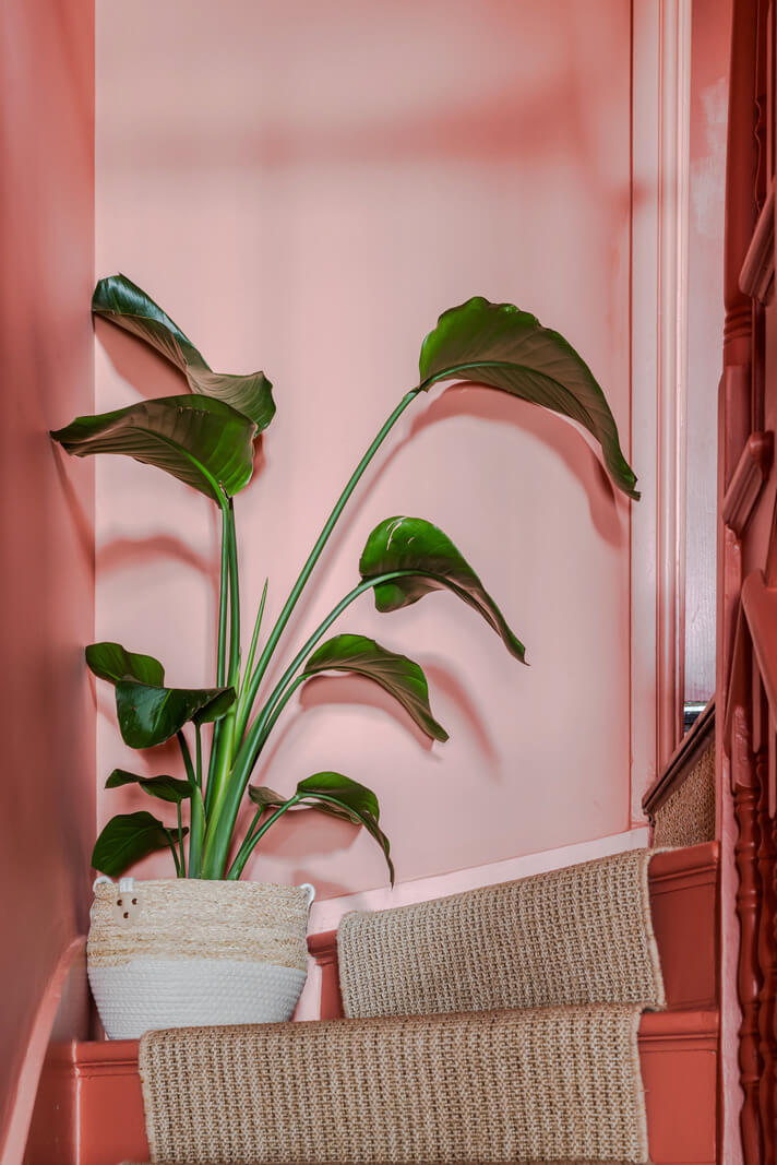 A Victorian Home with a Rich Color Palette and a Beautiful Garden 14 pink stairs