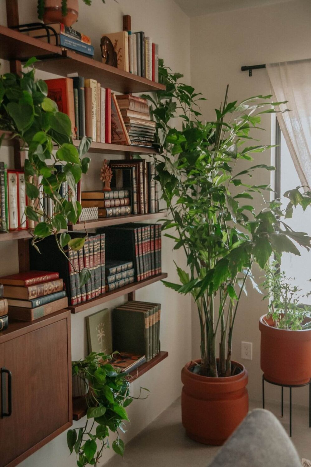 A Colorful Airbnb Home in the Morongo Valley 13 wall-mounted-bookshelves-plants