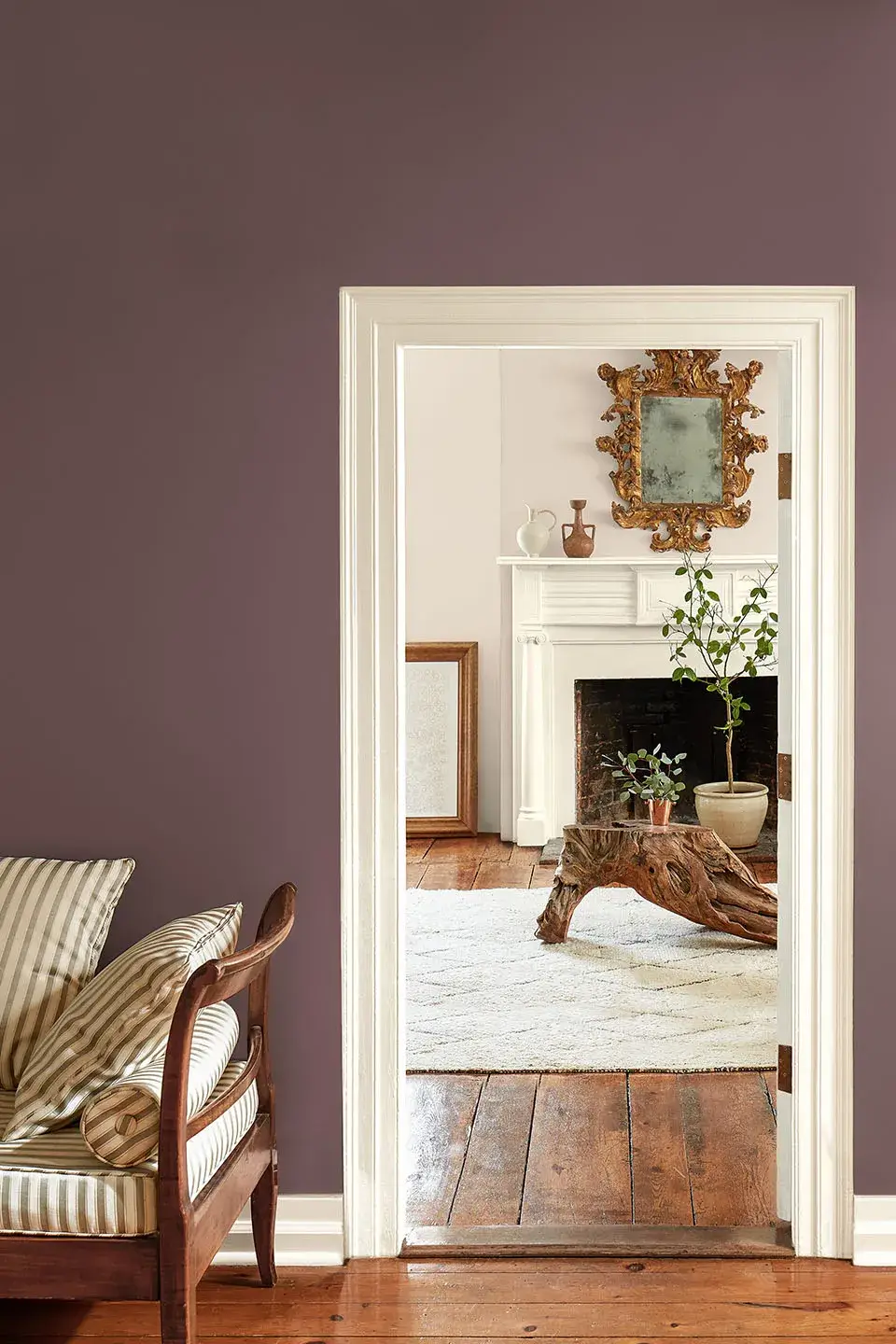 Benjamin Moore Color of the Year 2025: Cinnamon Slate 2 doorway benjamin moore color of the year 2025 cinnamon slate nordroom
